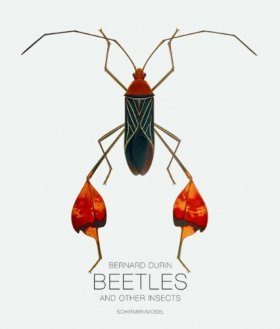 Bernard Durin: Beetles and Other Insects