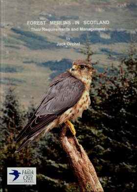 Forest Merlins in Scotland