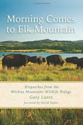 Morning Comes to Elk Mountain