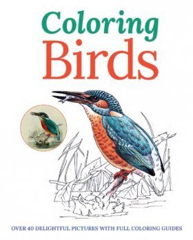 Coloring Birds
