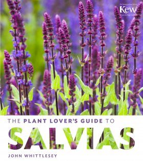 The Plant Lover's Guide to Salvias
