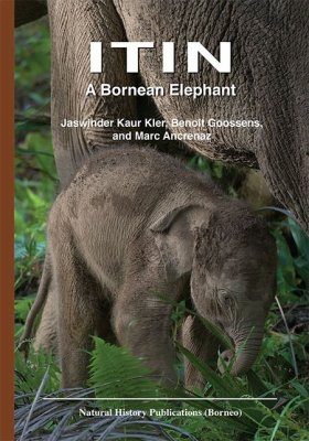 Itin: A Bornean Elephant