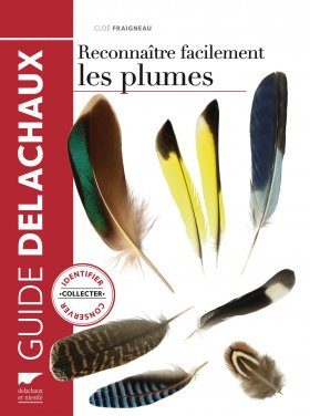Reconnaître Facilement Les Plumes