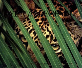 Eye of the Leopard