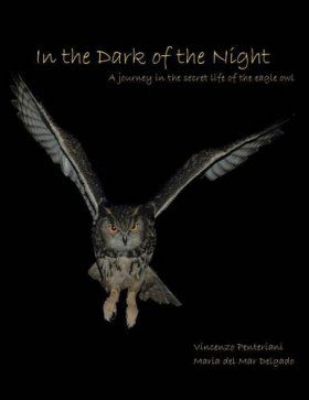 In the Dark of the Night