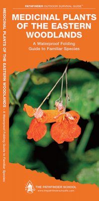 Medicinal and Other Useful Plants of the Eastern Woodlands