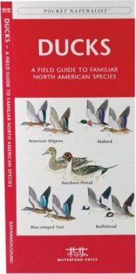 Ducks: A Field Guide to Familiar North American Species
