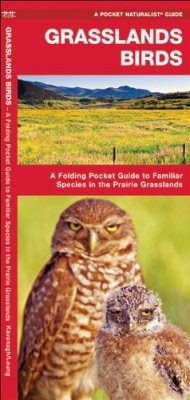 Grasslands Birds