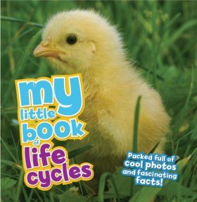 My Little Book of Lifecycles