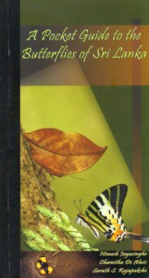 A Pocket Guide to the Butterflies of Sri Lanka