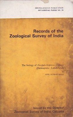 The Biology of Forcipula trispinosa (Dohrn) (Dermaptera: Labiduridae)