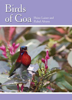 Birds of Goa