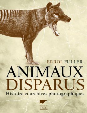 Animaux Disparus