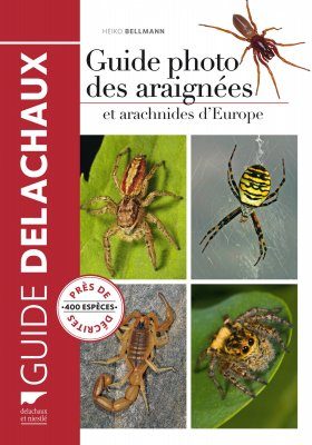 Guide Photo des Araignées et Autres Arachnides d'Europe