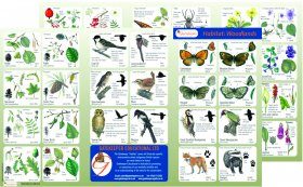 Habitat: Woodlands