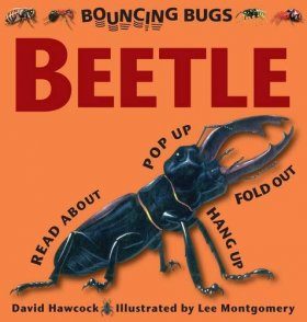 Beetle