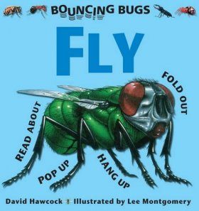 Fly