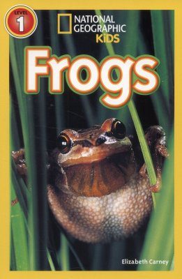 Frogs