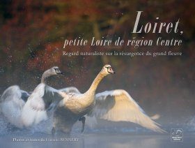 Loiret, Petite Loire de Région Centre