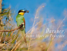 Durance, entre Alpes et Provence