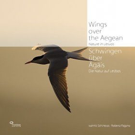 Wings over the Aegean / Schwingen über der Ägäis