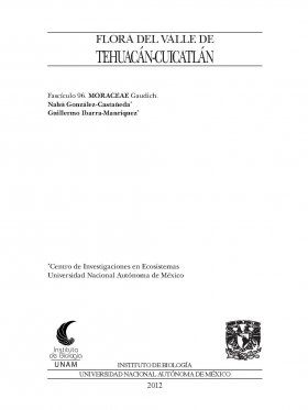 Flora del Valle de Tehuacán-Cuicatlán, Volume 96: Moraceae
