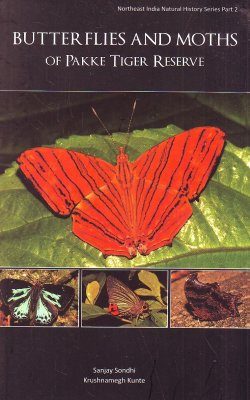 Butterflies and Moths of Pakke Tiger Reserve