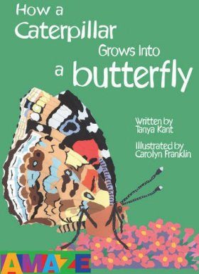 How a Caterpillar Grows into a Butterfly
