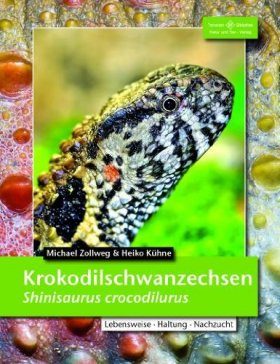 Krokodilschwanzechse: Shinisaurus crocodilurus