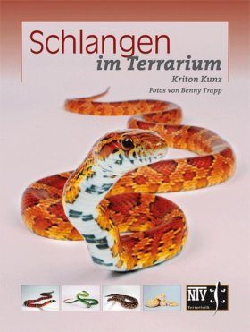 Schlangen im Terrarium