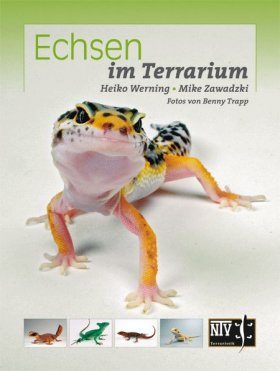 Echsen im Terrarium