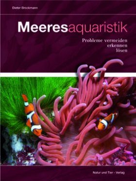 Meeresaquaristik: Probleme Vermeiden, Erkennen, Lösen