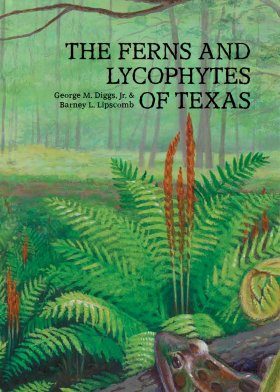 The Ferns and Lycophytes of Texas