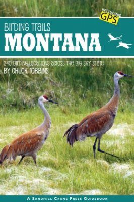 Birding Trails: Montana