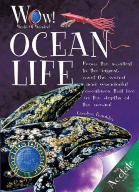 Ocean Life