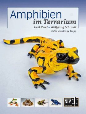 Amphibien im Terrarium