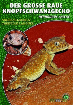 Der Grosse Raue Knopfschwanzgecko