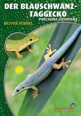 Der Blauschwanz-Taggecko