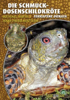 Schmuckdosenschildkröten