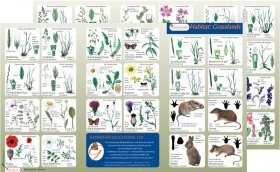 Habitat: Grasslands