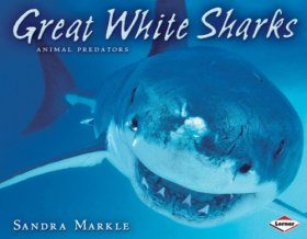Great White Sharks