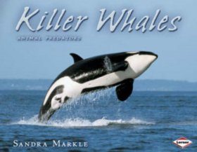Killer Whales