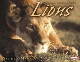 Lions