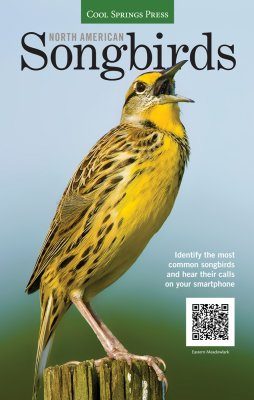 North American Songbirds