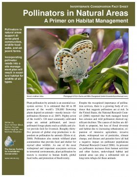 Pollinators in Natural Areas