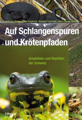 Auf Schlangenspuren und Krötenpfaden