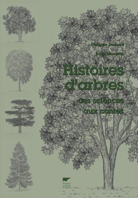 Histoires d'Arbres