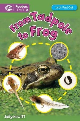 From Tadpole to Frog