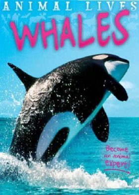 Whales