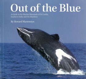 Out of the Blue